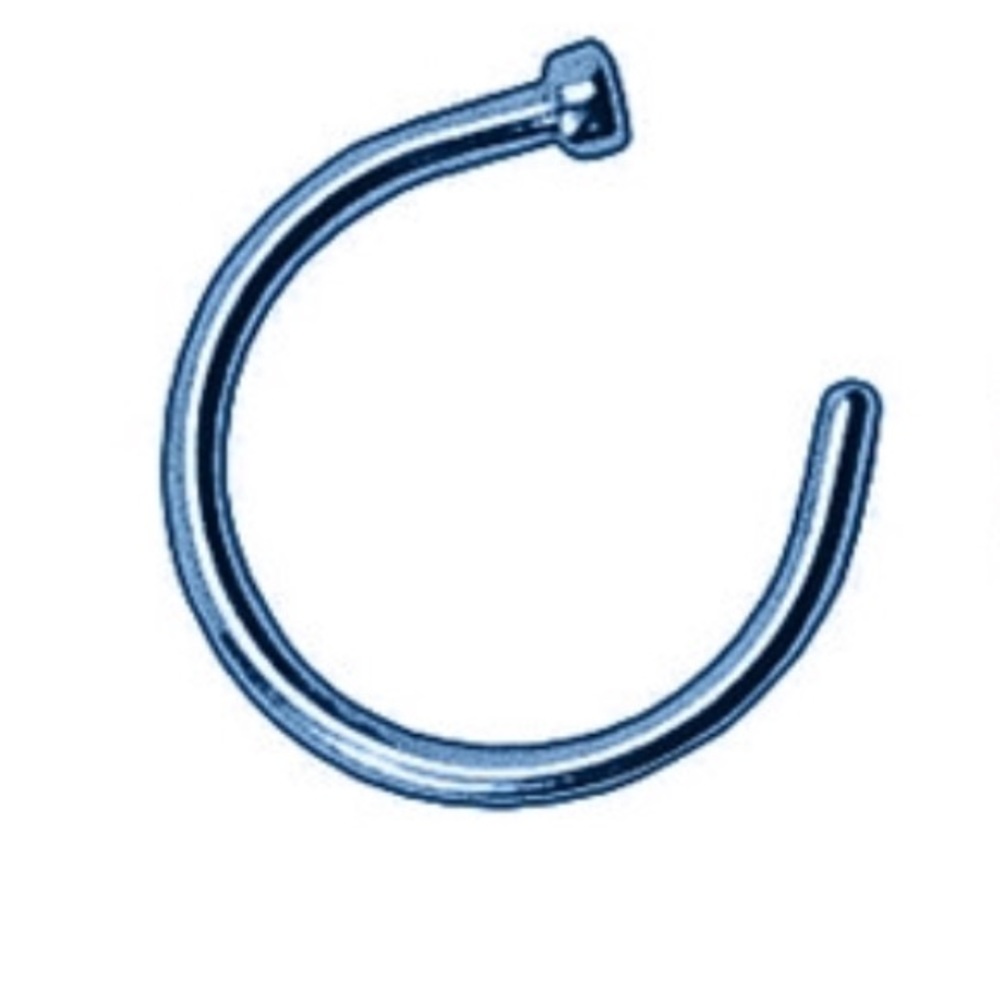 Blue Nose Hoop (1)